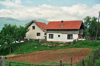 eika image